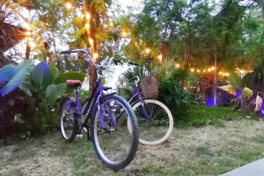 Dk31 Wifi 600Mb, Cheap Scooters By Moikkarentals Tulum Dış mekan fotoğraf
